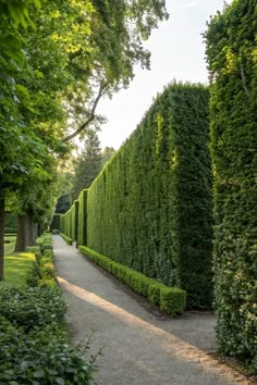 Tuin privacy schutting en afsluiting